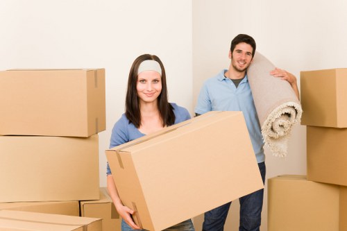 Sustainable removals scene with sorted recycling materials and efficient van transport