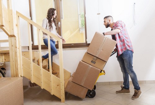 Packing and preparation for a Battersea house move